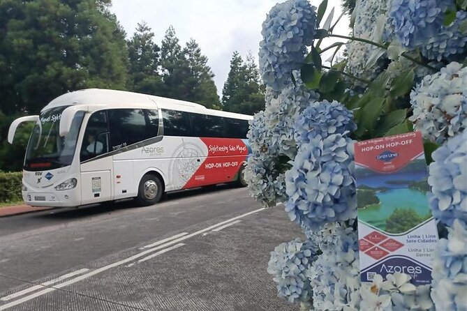 São Miguel Hop-On Hop-Off Sightseeing Bus - Who should book this bus, and who might want a car instead