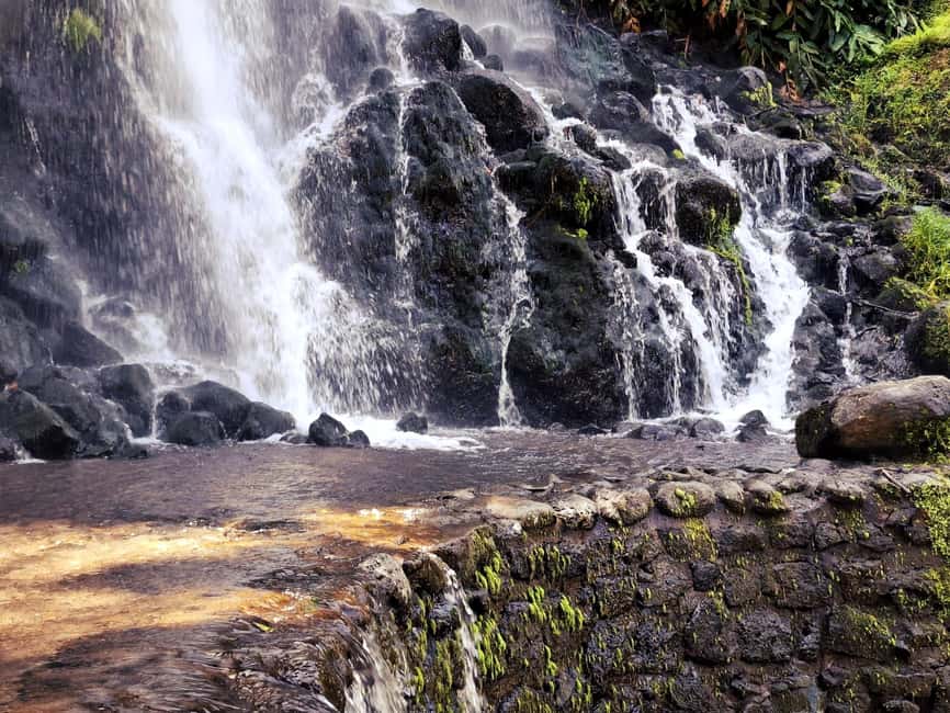 São Miguel island: 2-Day Tour, East & West Island Highlights - East São Miguel: Furnas geothermal steam and the underground Cozido moment