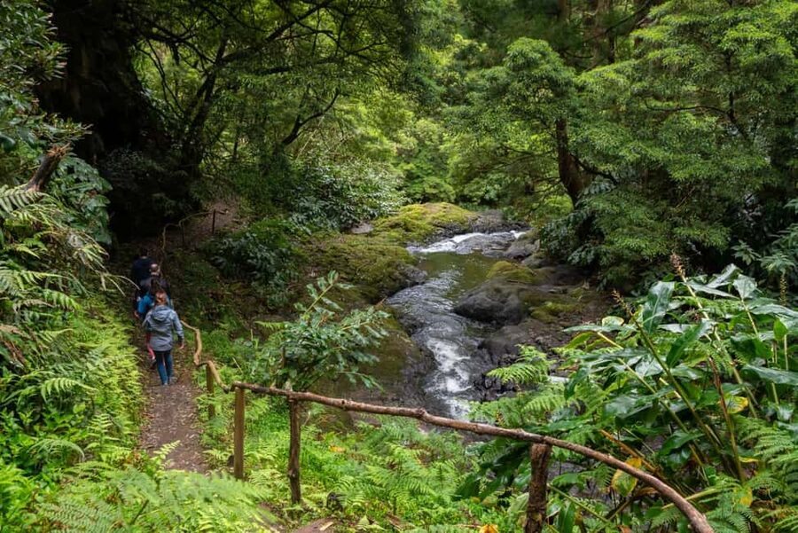 São Miguel Island: Chasing Waterfalls in the Azores Tour - Tea plantations and water mills: the day has more texture than water