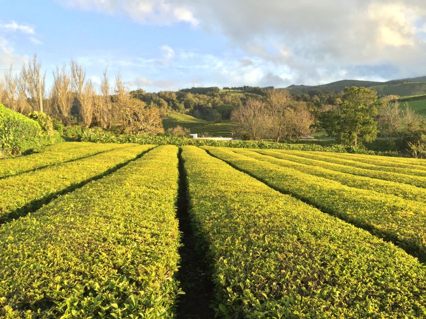 São Miguel Island: Full Day All-in-One Tour - Key Things I’d Emphasize Before You Go