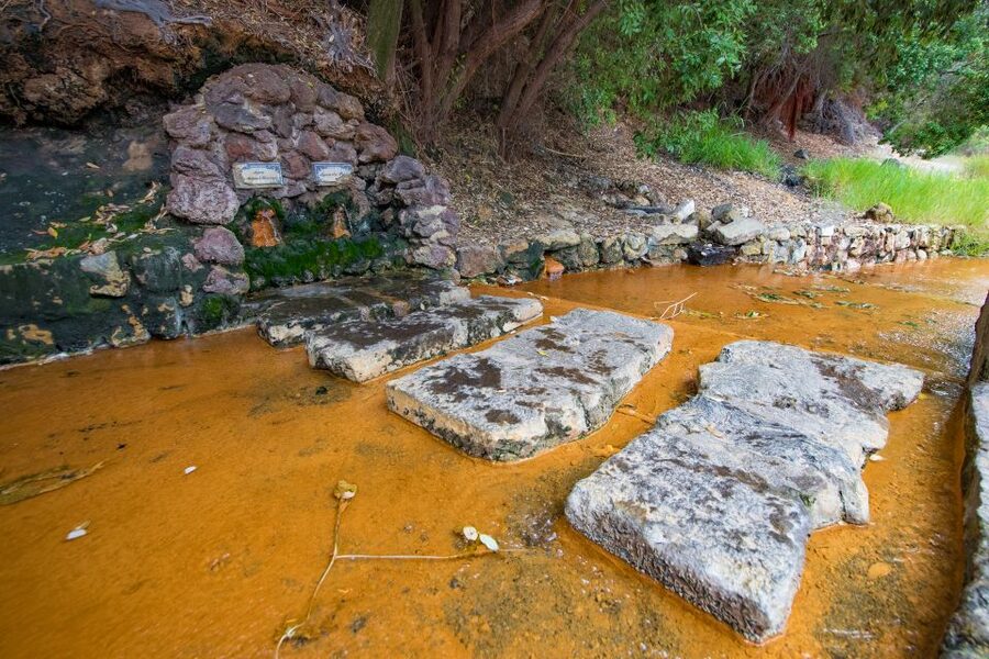 São Miguel Island: Full Day All-in-One Tour - Furnas Village: Fumaroles and the Human Side of Volcanic Power