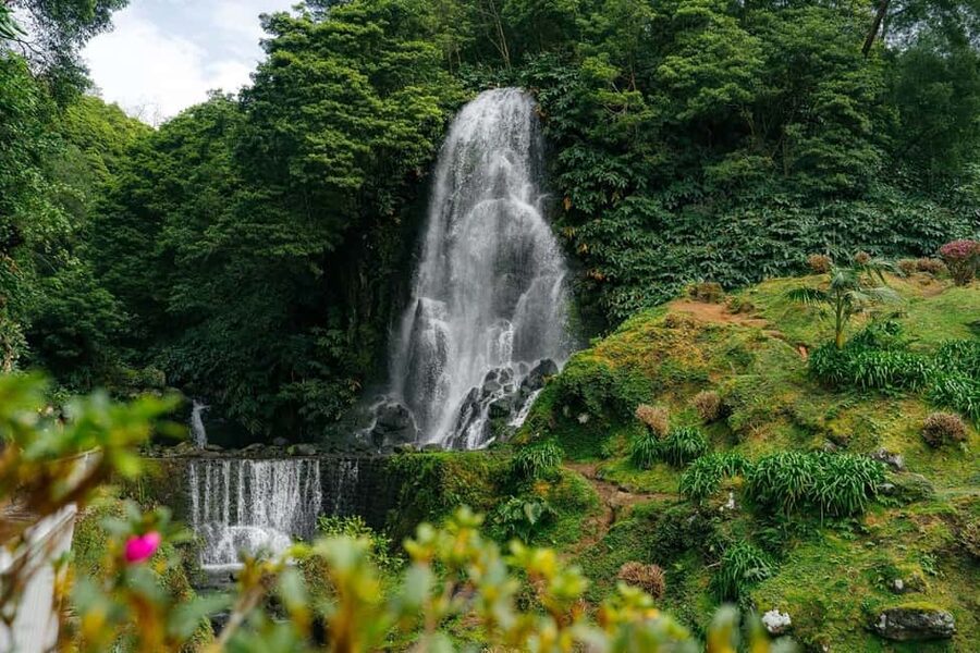 São Miguel Island: Nordeste Natural Park & Waterfalls - Key moments you’ll remember