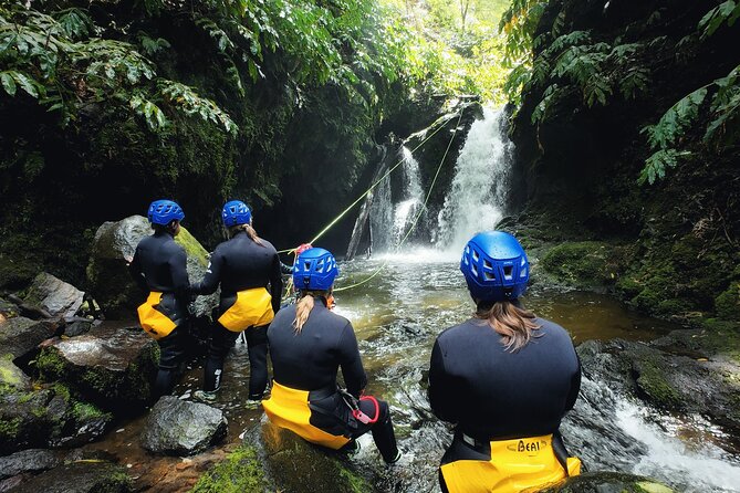 São Miguel : Level 1 Canyoning in Ribeira dos Caldeirões, Azores - Key Highlights to Know Before You Go