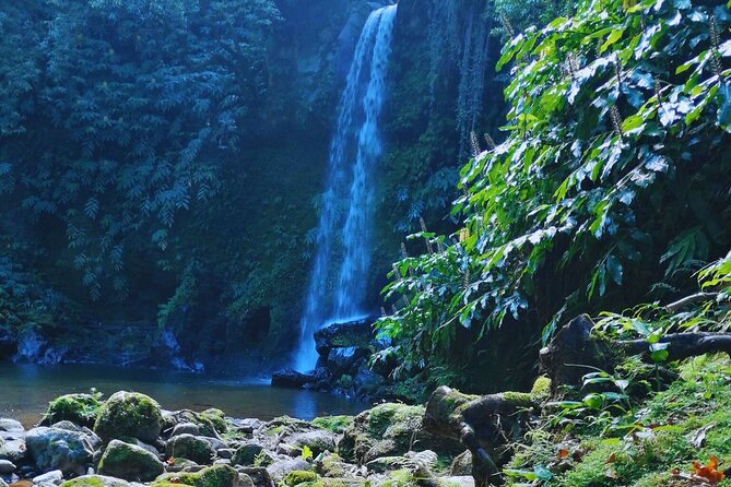 São Miguel: Majestic North Tour (Local Lunch Incl.) - Key highlights you should not miss