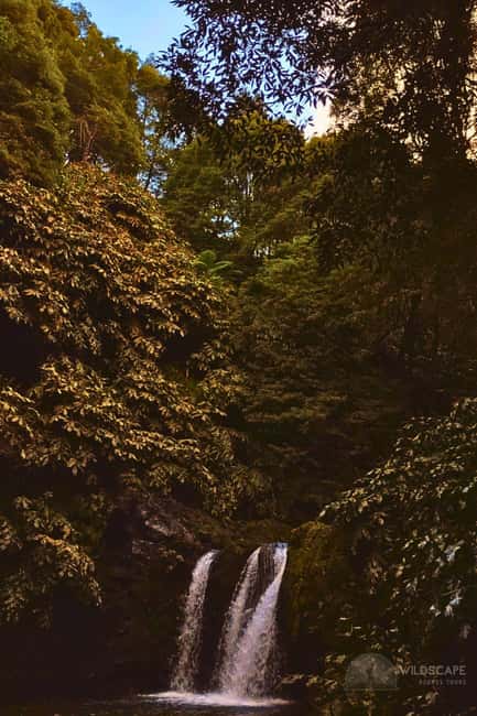 São Miguel: Majestic North Tour (Waterfalls w/Lunch) - Nordeste lunch: the buffet that actually fuels the rest of the day