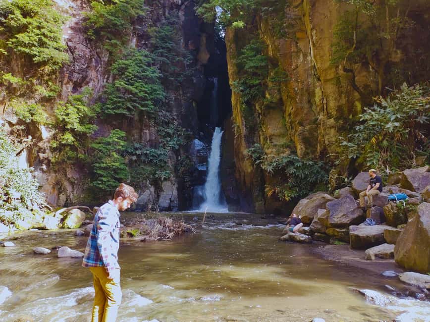 São Miguel: Majestic North Tour (Waterfalls w/Lunch) - Price and time value for $88