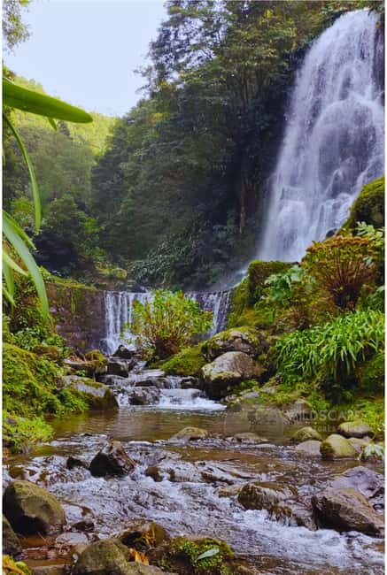 São Miguel: Majestic North Tour (Waterfalls w/Lunch) - How pickup and the loop work in real life