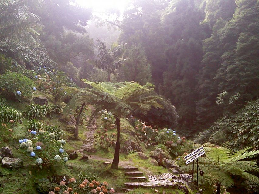 São Miguel: Nordeste, Cliffs & Waterfall Day Trip with Lunch - Nordeste First, Everything Else Later: Why This Route Works