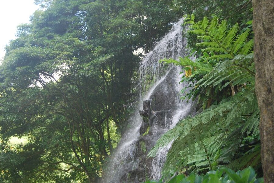 São Miguel: Nordeste, Cliffs & Waterfall Day Trip with Lunch - Miradouros That Earn Their Stop Time: Coroa da Mata and Salto da Farinha