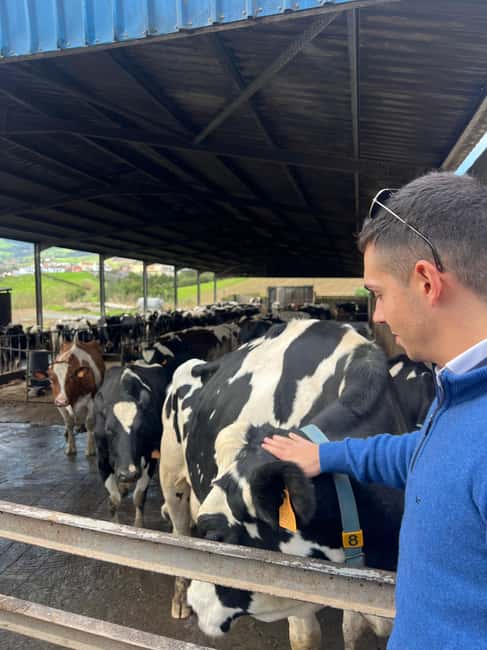 São Miguel: Nordeste Tour with Cow Milking - Cascata do Homem, quick photos in a calm spot