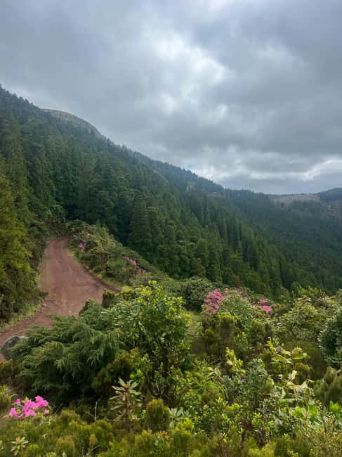 São Miguel: Nordeste Tour with Cow Milking - Ribeira dos Caldeirões Natural Park, gardens, restored water mills, and walking trails