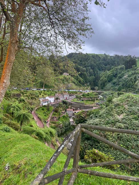 São Miguel: Nordeste Tour with Cow Milking - Laurisilva Forest drive, seeing endemic vegetation without the hike