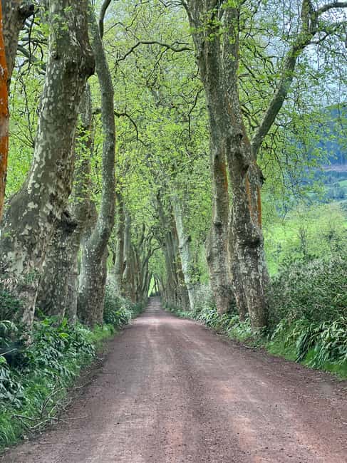 São Miguel: Nordeste Tour with Cow Milking - Povoação, a first settlement feel with short free time plus a longer visit