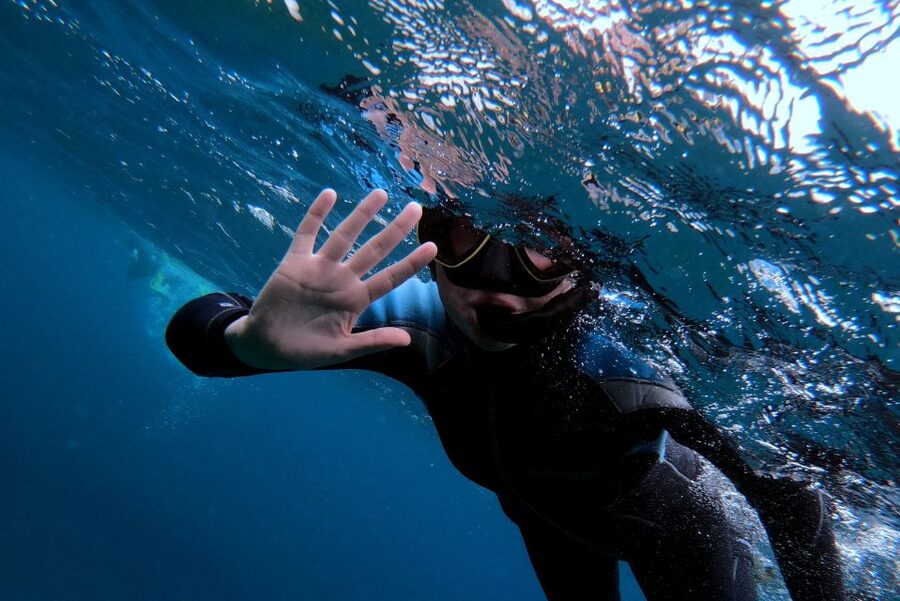 Sao Miguel: Snorkeling around Vila Franca do Campo - Starting at the Marina: Where the Trip Begins Smoothly