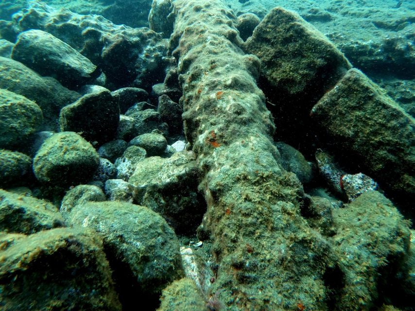 Sao Miguel: Snorkeling around Vila Franca do Campo - The Speedboat Run: Quick Ride, Good Views, Minimal Waiting