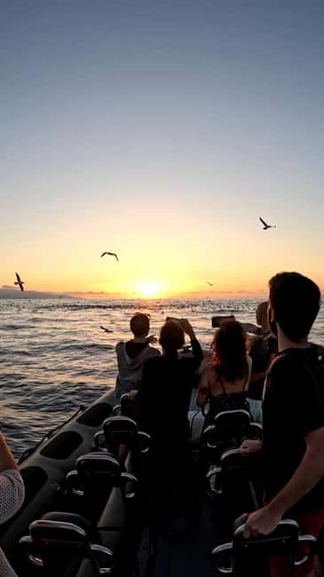 São Miguel: Sunset Boat Tour – Golden Light, Cliffs & Caves - Santa Iria views and the chance of a swim