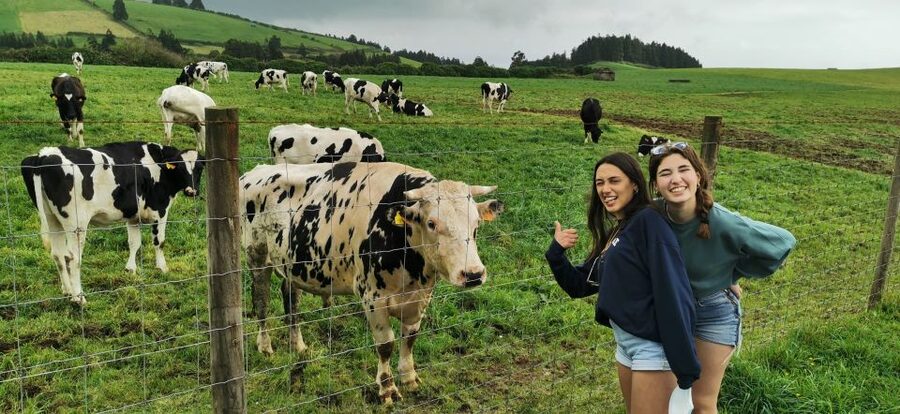 São Miguel West: Sete Cidades and Fogo Tour with Lunch - Price and value: is $99 per person worth your full day?
