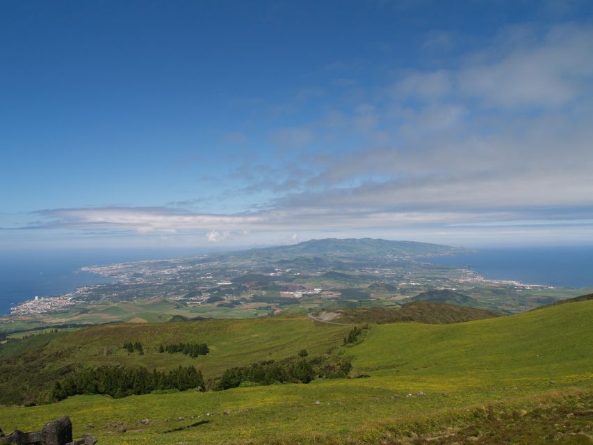 São Miguel West: Sete Cidades and Fogo Tour with Lunch - Pineapple in glass greenhouses: the King fruit lesson you can actually use