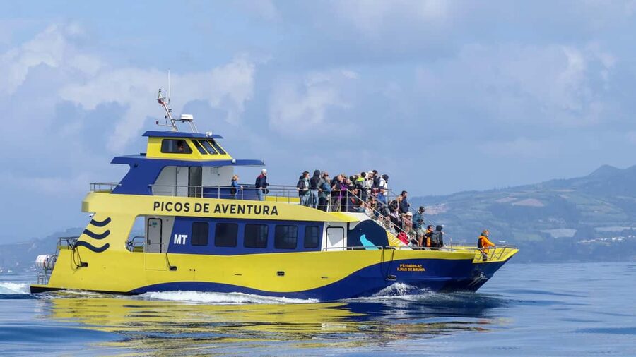 São Miguel: Whale-Watching Cruise with Marine Biologist - Key Points Before You Go