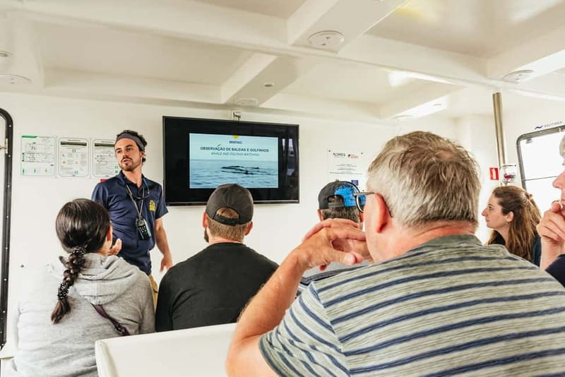 São Miguel: Whale-Watching Cruise with Marine Biologist - Who This Cruise Fits Best, and Who Should Skip It