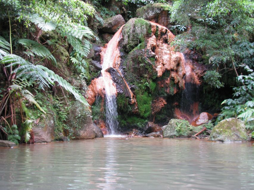 São Miguel: Whales & Volcano Full-Day Tour with Lunch - Lunch at the marina: included, but plan to eat early