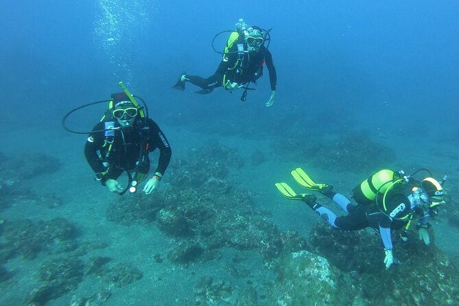 Scuba Diving - Gear, Rental Options, and Keeping Your Stuff Safe