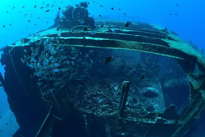 Scuba Diving - The 9am or 2pm Schedule and How the 3 Hours Actually Flow