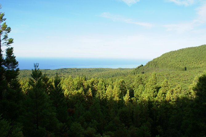 Sea and Land - Why Terceira Fits This Sea-to-Land Format