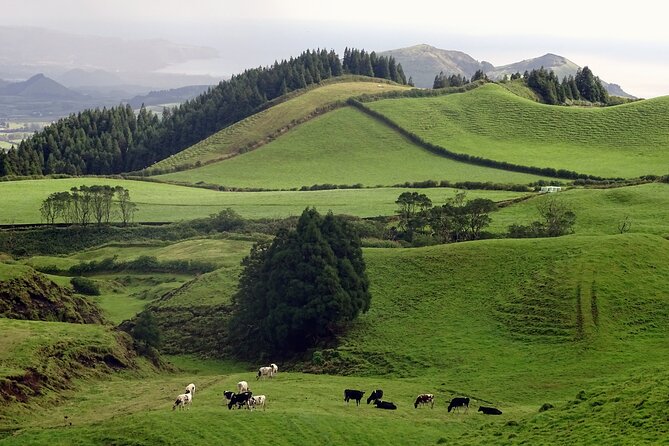 Sete Cidades by Van (half day) - Pico Carvão viewpoint stop, fast and useful