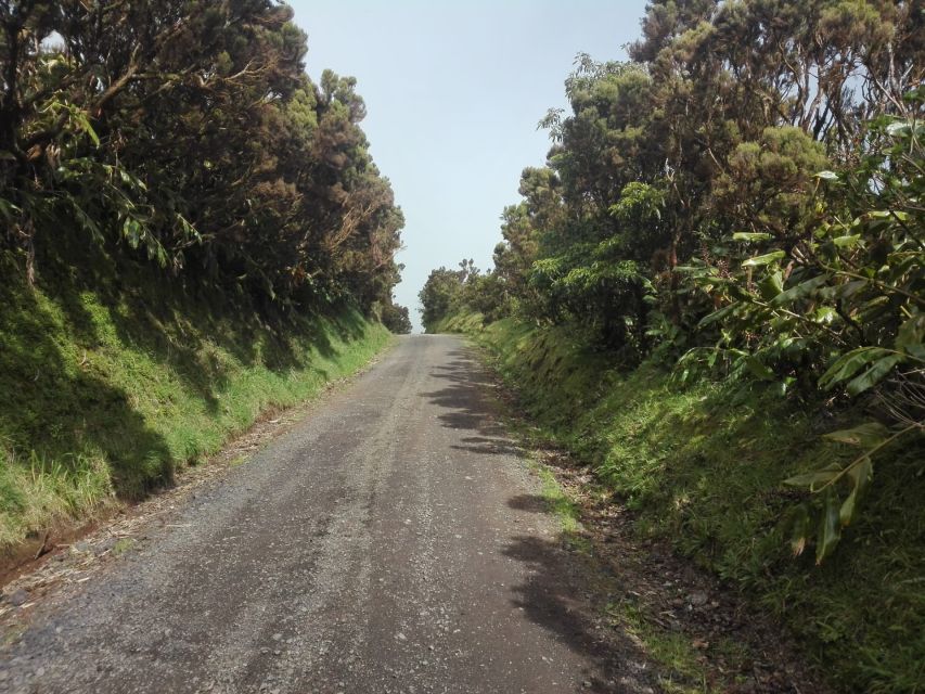 Sete Cidades Experience - Kayaking Lagoa Azul and Lagoa Verde, and what to pack