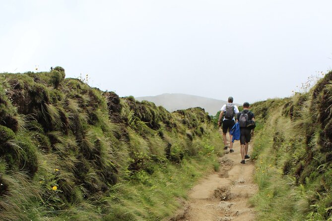 Sete Cidades Full-Day 4WD Tour from Ponta Delgada with Hiking - Key Highlights You’ll Care About