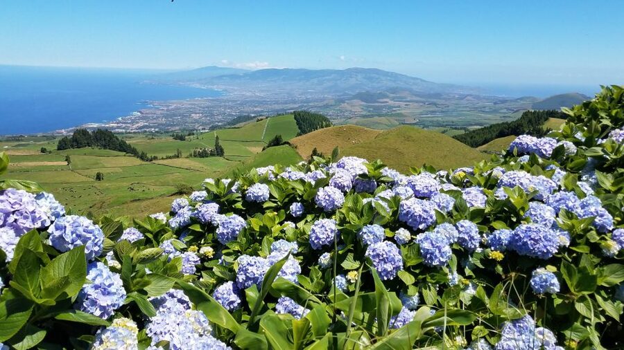 Sete Cidades - Half Day Tour - Your guide and van setup: small group, real conversation time