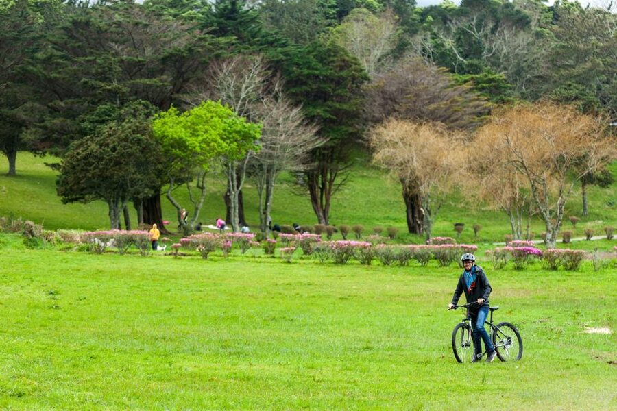 Sete Cidades: Kayaking and Biking Adventure - The Kayak Segment on Lagoa das Sete Cidades: Where the Views Change Hour to Hour