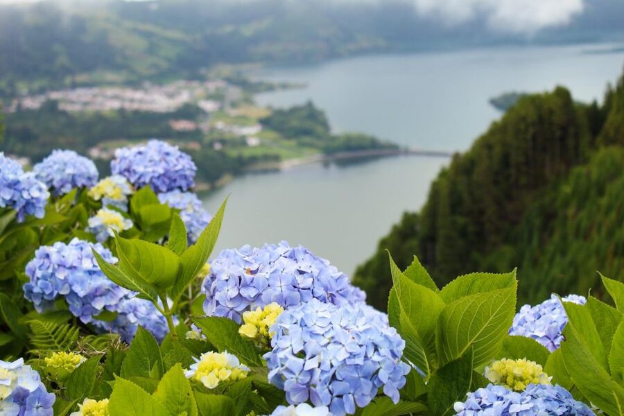 Sete Cidades & Lagoa do Fogo: Full Day Tour with Lunch - Regional lunch in the middle of a long day