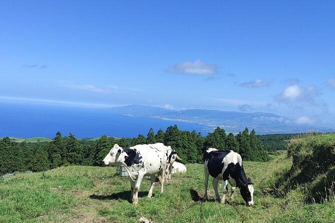 Sete Cidades on Jeep - Key highlights to look for