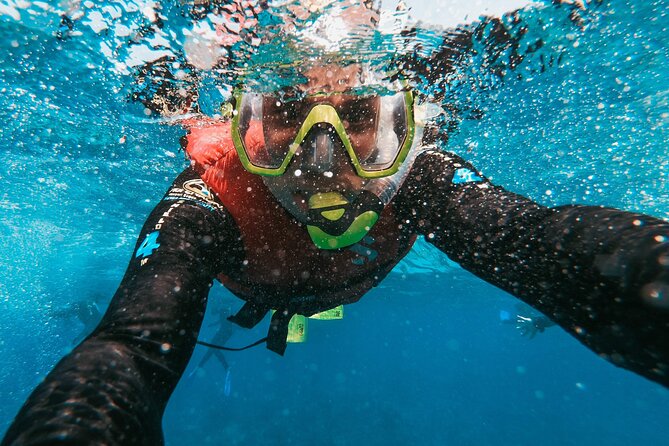 Snorkeling Adventure in Caloura, S. Miguel - Rosto do Cão islet: basalt walls and Atlantic power