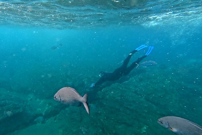 Snorkeling Tour Ilhéu from Vila Franca do Campo - Vila Watersports Center, Then Straight to the Water