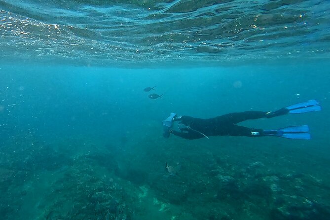 Snorkeling Tour Ilhéu from Vila Franca do Campo - Pricing and Value: Is $30.12 Worth It?