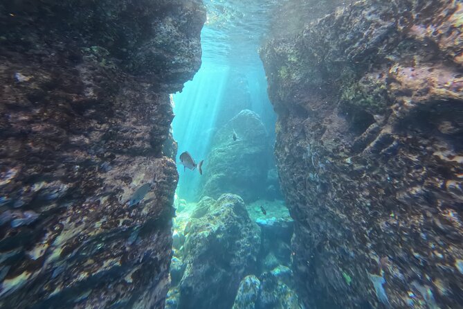 Snorkeling Tour Ilhéu from Vila Franca do Campo - Timing, Weather, and Getting the Best Shot