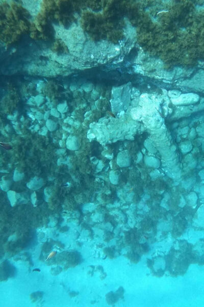 Snorkeling Tour- Vila Franca do Campo Islet