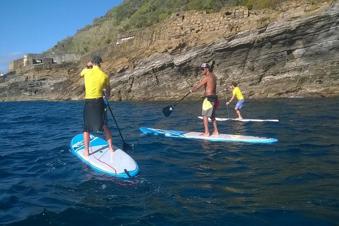 Stand Up Paddle - SUP - Quick reasons this SUP tour works so well