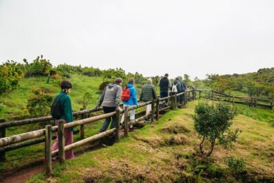 Algar do Carvão Lava Caves Tour