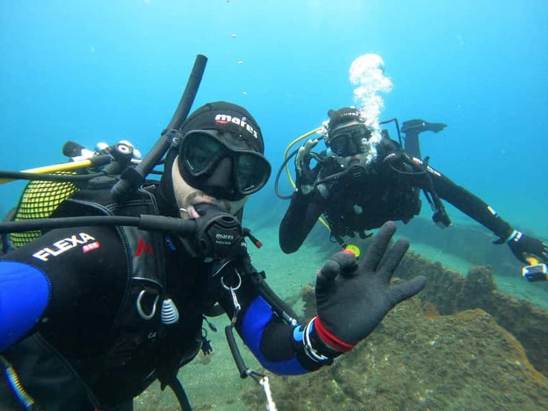 Terceira Azores: Scuba-Double dive Trip(certified Divers) - Terceira Timing: Two 45-Min Underwater Sessions in About 3 Hours