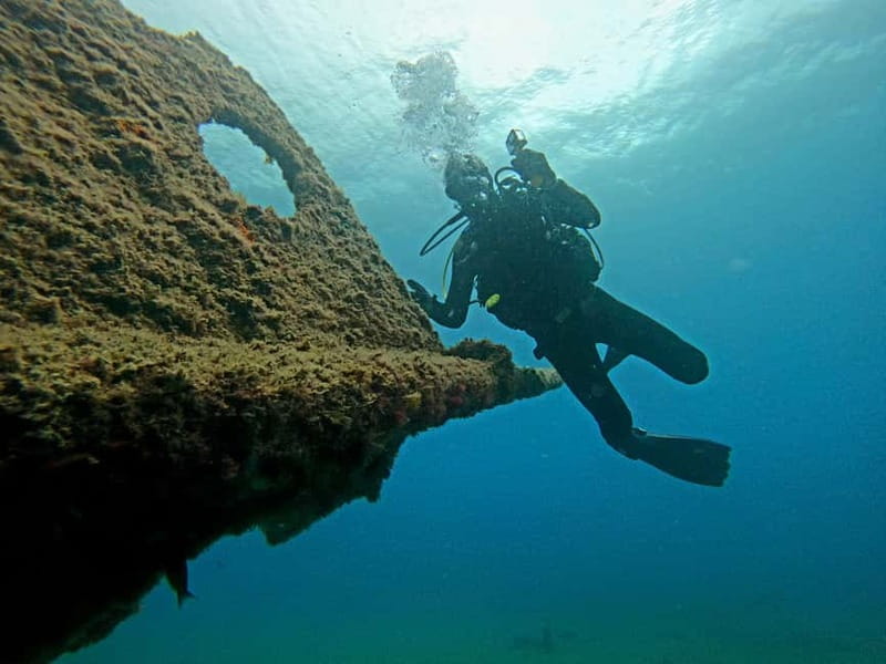 Terceira Azores: Scuba-Double dive Trip(certified Divers) - The Underwater Wildlife: What You Can Actually Keep an Eye Out For