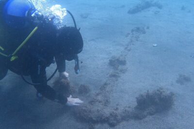 Terceira Azores: Scuba-Double dive Trip(certified Divers)