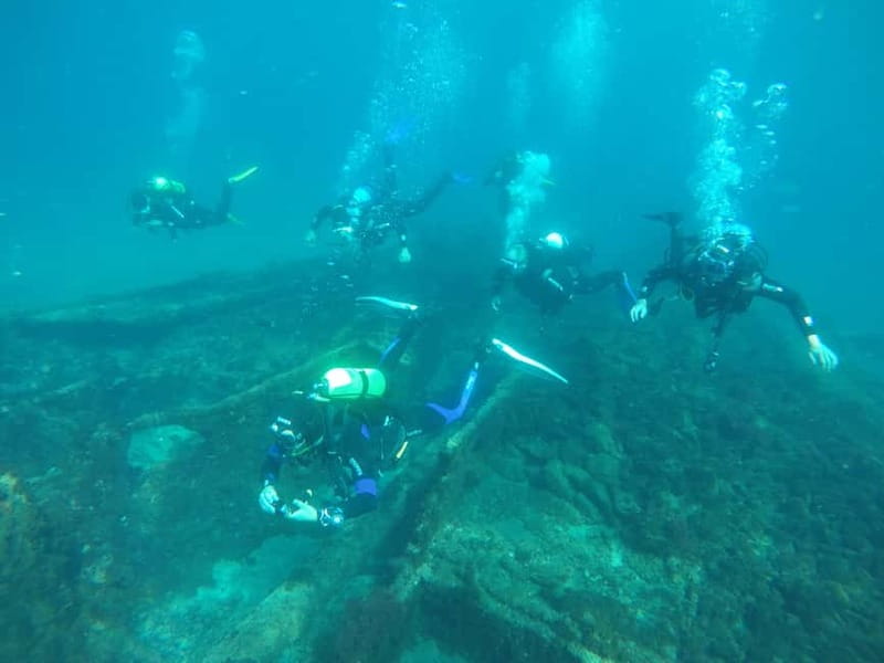 Terceira Azores: Scuba-Double dive Trip(certified Divers) - Price and Value: Is $111 Fair for a 3-Hour Certified Experience?