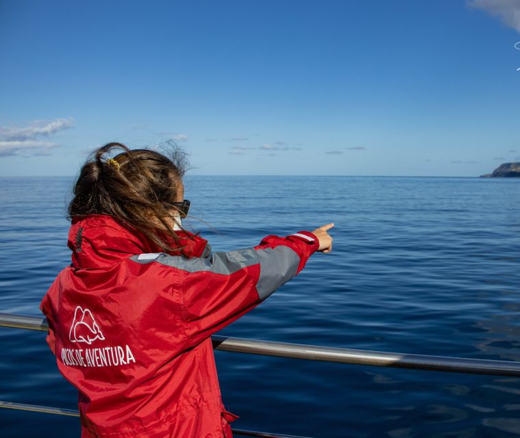 Terceira: Half-Day Dolphin and Whale Watching Tour - Setting Out from Angra do Heroísmo, Pátio da Alfândega