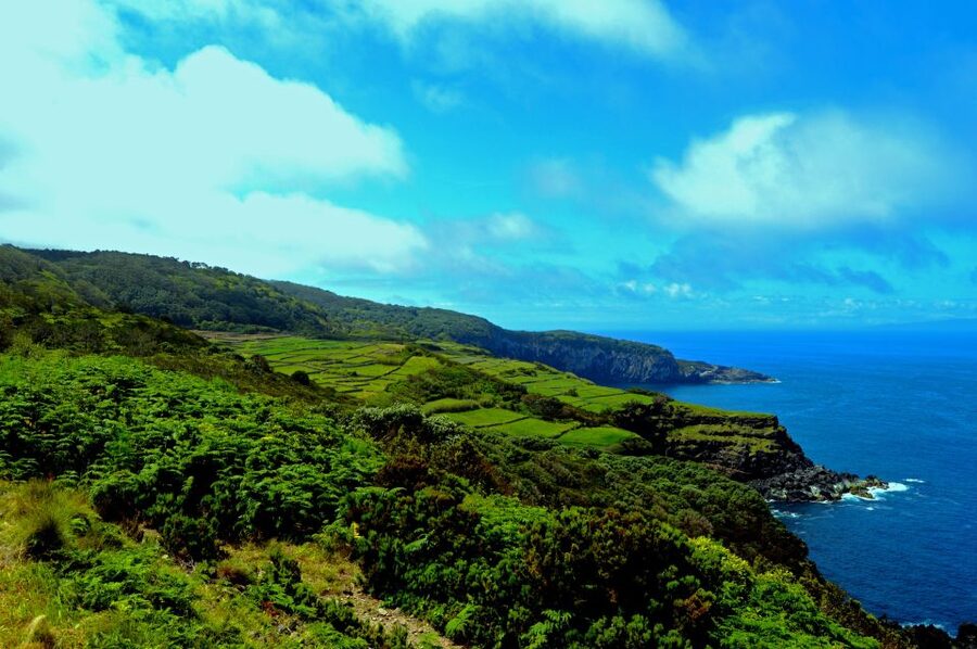 Terceira: Half-Day Island Tour with Cheese Tasting - Handmade Cheese Tasting: Four Types, Short and Satisfying
