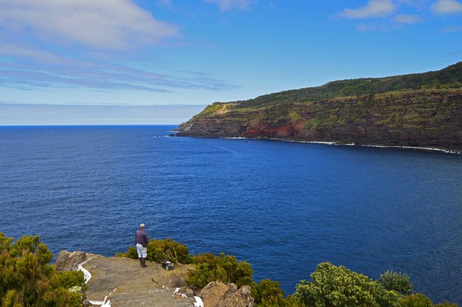 Terceira: Half-Day Island Tour with Cheese Tasting - Is the $58 Price Fair for What You Actually Get?