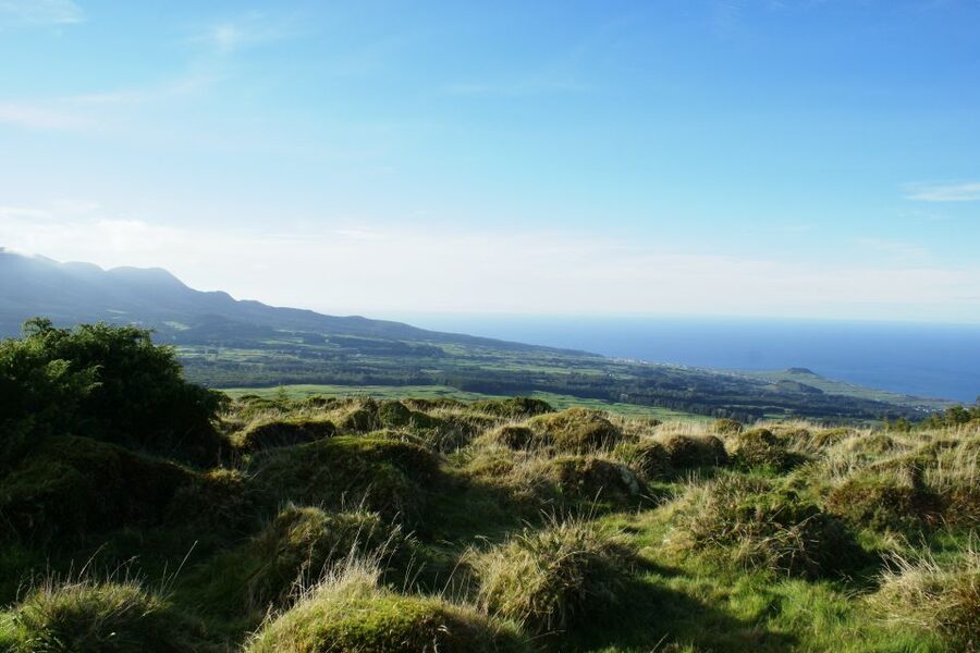 Terceira Island: 4x4 Land Rover Tour with Traditional Lunch - 4x4 Land Rovers on Farmer Roads, Hydrangeas, Basalt Walls, and Real Views